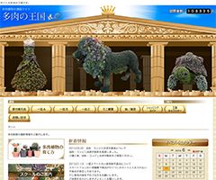 多肉植物の販売・通販サイトI多肉の王国